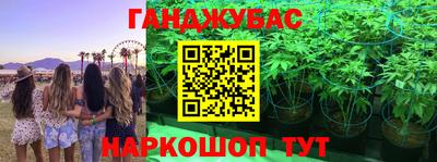 гидра Гусь-Хрустальный