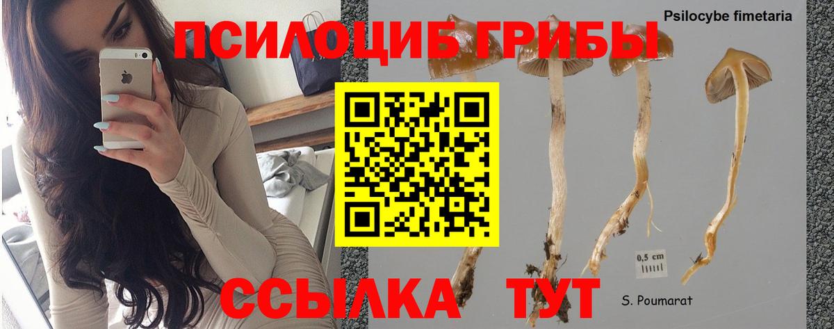 Псилоцибиновые грибы мухоморы  Вход с VPN  Нововоронеж 